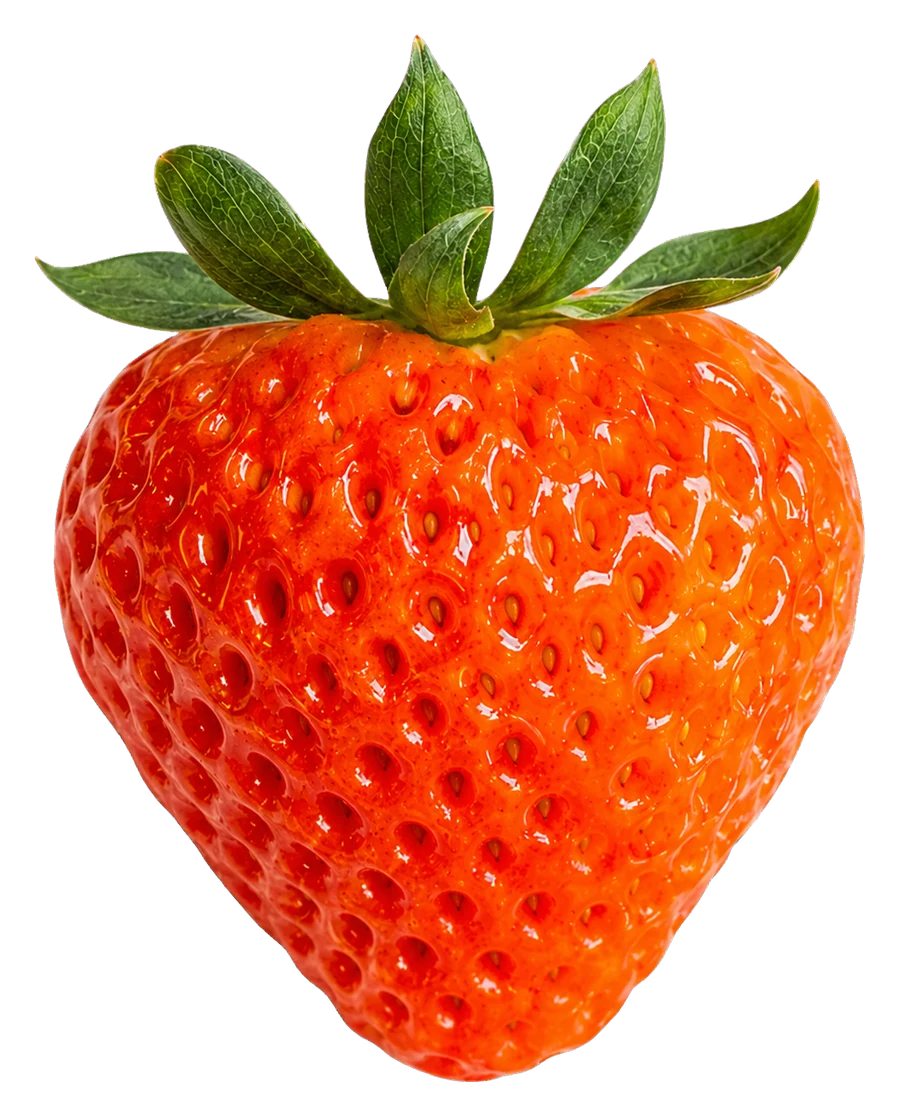 A Sheba Berry strawberry with its quality standards annotated